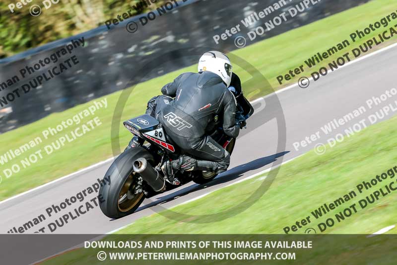 Oulton Park 20th March 2020;PJ Motorsport Photography 2020;anglesey;brands hatch;cadwell park;croft;donington park;enduro digital images;event digital images;eventdigitalimages;mallory;no limits;oulton park;peter wileman photography;racing digital images;silverstone;snetterton;trackday digital images;trackday photos;vmcc banbury run;welsh 2 day enduro